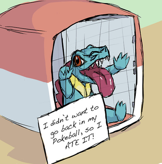 Illustration for article titled Pokemon Shaming